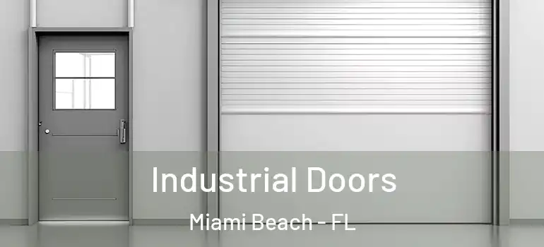  Industrial Doors Miami Beach - FL