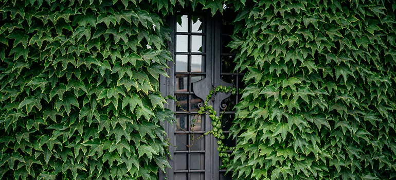 Garden Gate Repair in Miami Beach, FL