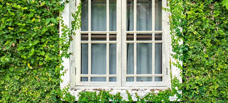 Garden Window Repair Near Me in Miami Beach, FL