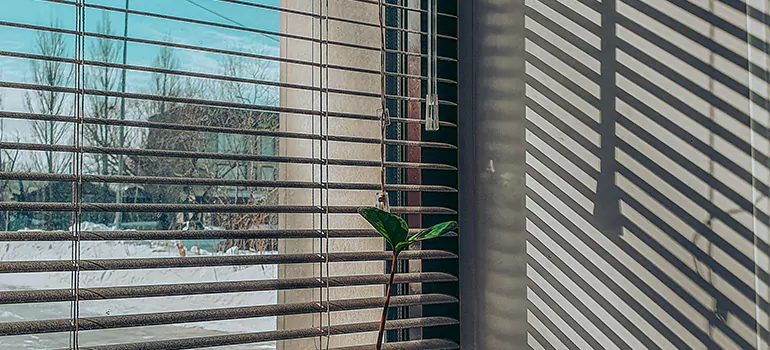 Commercial Window Blinds in Miami Beach, FL