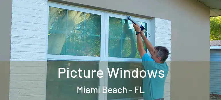  Picture Windows Miami Beach - FL