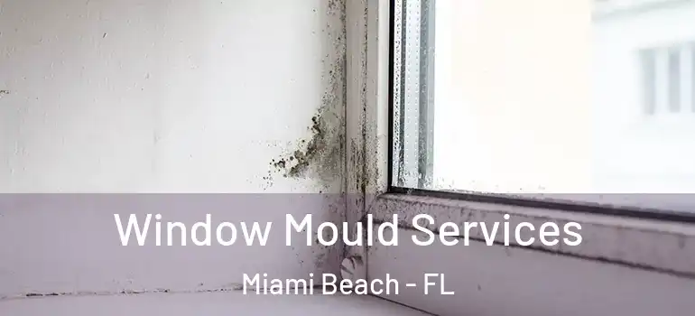  Window Mould Services Miami Beach - FL