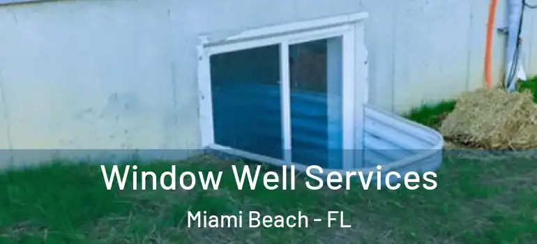  Window Well Services Miami Beach - FL