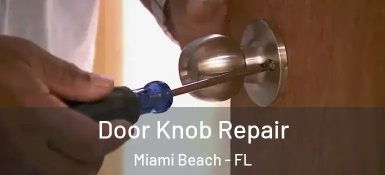  Door Knob Repair Miami Beach - FL