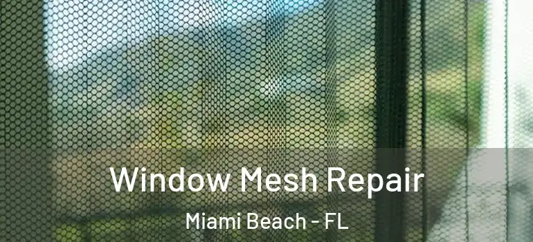  Window Mesh Repair Miami Beach - FL
